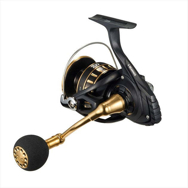 Daiwa 23 BG SW 6000D-H | eBay