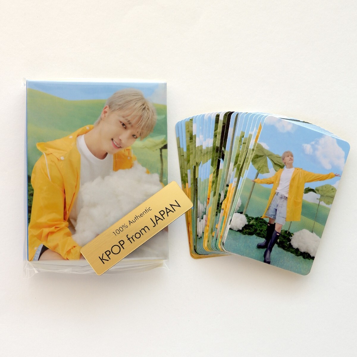 DINO SEVENTEEN SEVENTEENTH HEAVEN CARAT ver. Complete Photocard