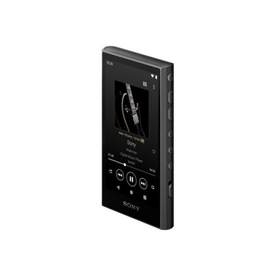 Sony NW-A306 Walkman 32GB Hi-Res Portable Digital Music Player | eBay