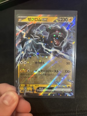 Zekrom EX 37/86 Japanese Black Bolt Pokemon Card Near Mint | eBay