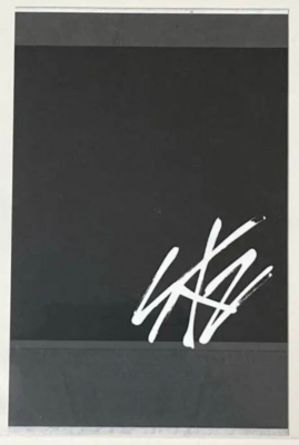 Stray Kids SKZ HAN Hi-STAY in SEOUL Concert Showcase Polaroid