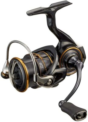 Daiwa 21 CALDIA LT2500S-XH Spinning Reel New in Box | eBay