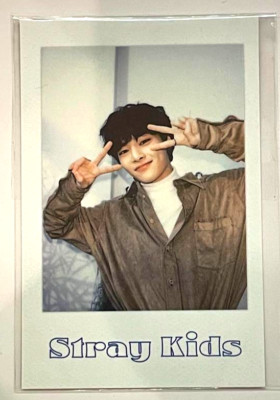 Stray Kids SKZ I.N IN Season's Greetings 2022 Official Polaroid