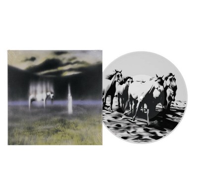 Navy Blue Memoirs In Armour Limited Edition Picture Disc Vinyl