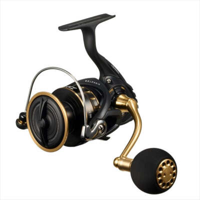 Daiwa 23 BG SW 5000D-CXH | eBay
