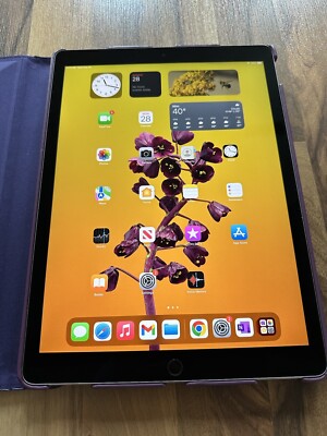 Apple iPad Pro 2nd Gen. 64GB, Wi-Fi, Apple Pencil 12.9in Gray | eBay