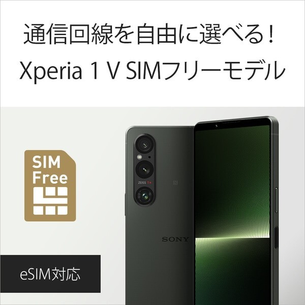 Sony Xperia 1 V XQ-DQ44 512GB 16GB RAM Dual SIM Unlocked 6.5
