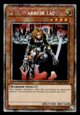 D. D. Warrior Lady異次元の女戦士アジア1stスーパー3枚セット D. D.