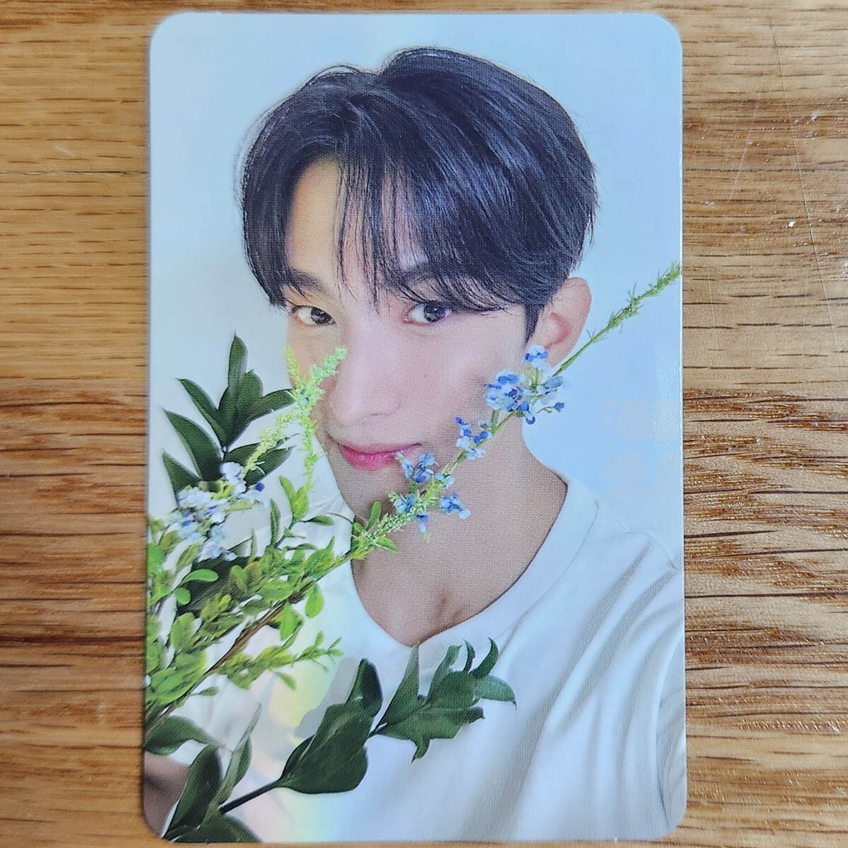 DK Official Photocard Seventeen The Best 17 Is Right Here Dear