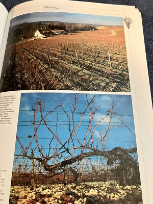 Book of Wine by Norman Bezzant (1989, Hardcover) | eBay