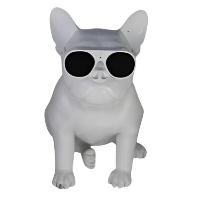 AeroBull Wireless Speakers HD1 & XS1 Stationary Type Bluetooth 5.1