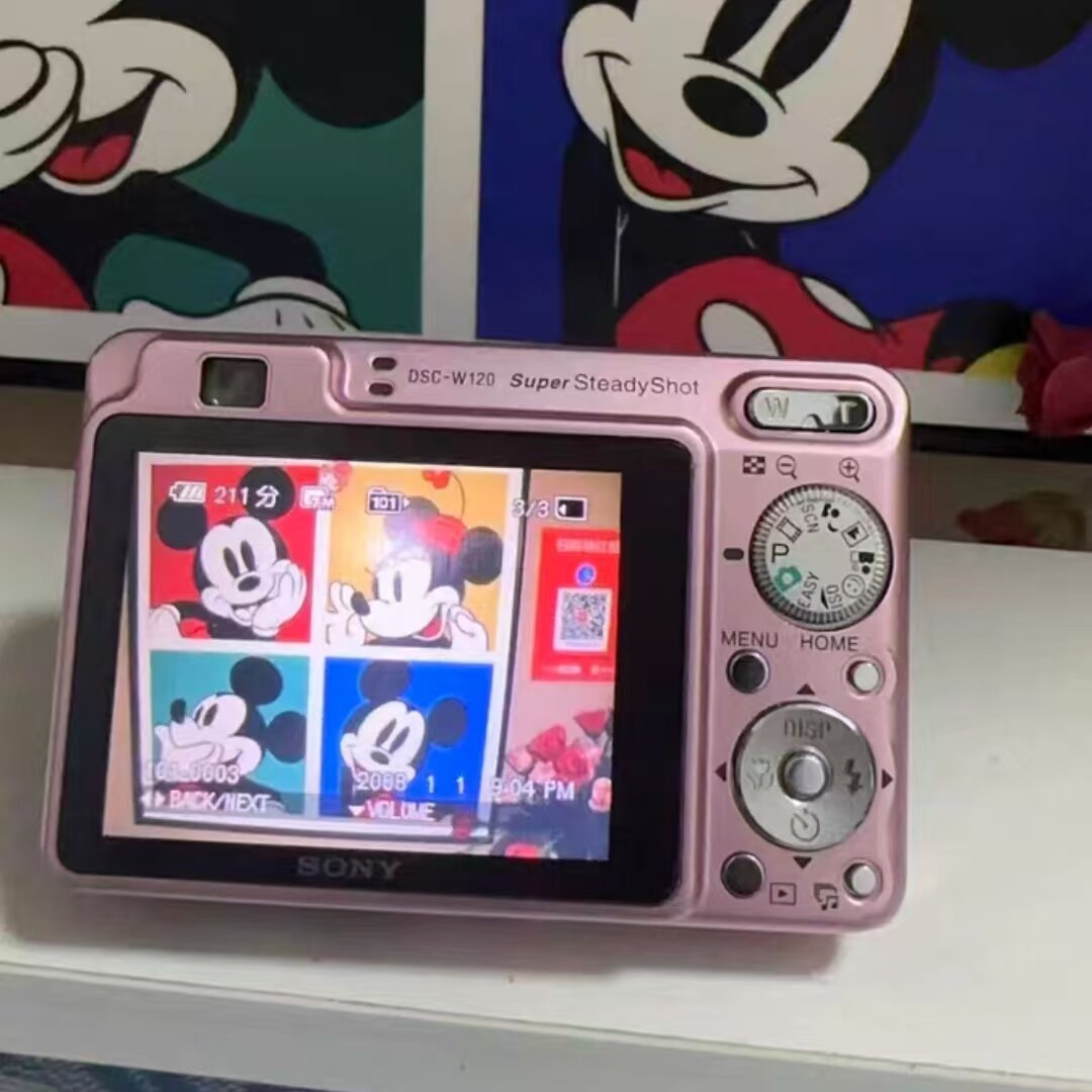 Sony Cybershot DSC-W120 7.2MP CCD Vintage Digital Camera - 100