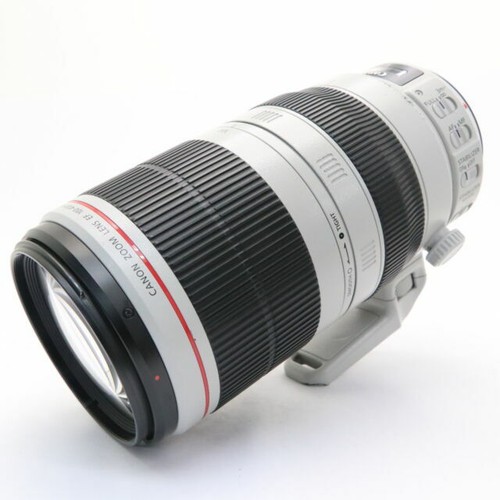 Canon 80-200mm f/4.5-5.6 Canon EF-Mount Auto Focus Zoom Lens