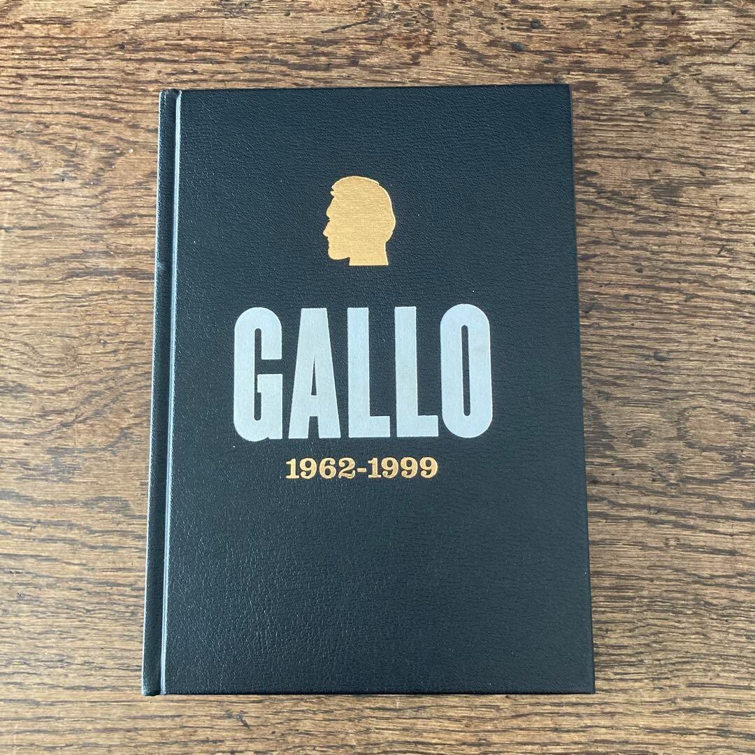VINCENT GALLO 1962-1999 Photo Collection First Artist Book Petit