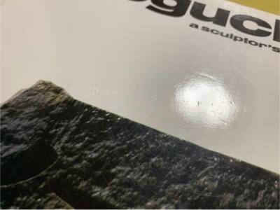 Isamu Noguchi A Sculptor's World Art Book Steidl Rare Collectible