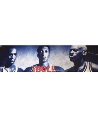 1996 Nike No Bull Poster Chicago Bulls - Jordan/Pippen/Rodman - 76