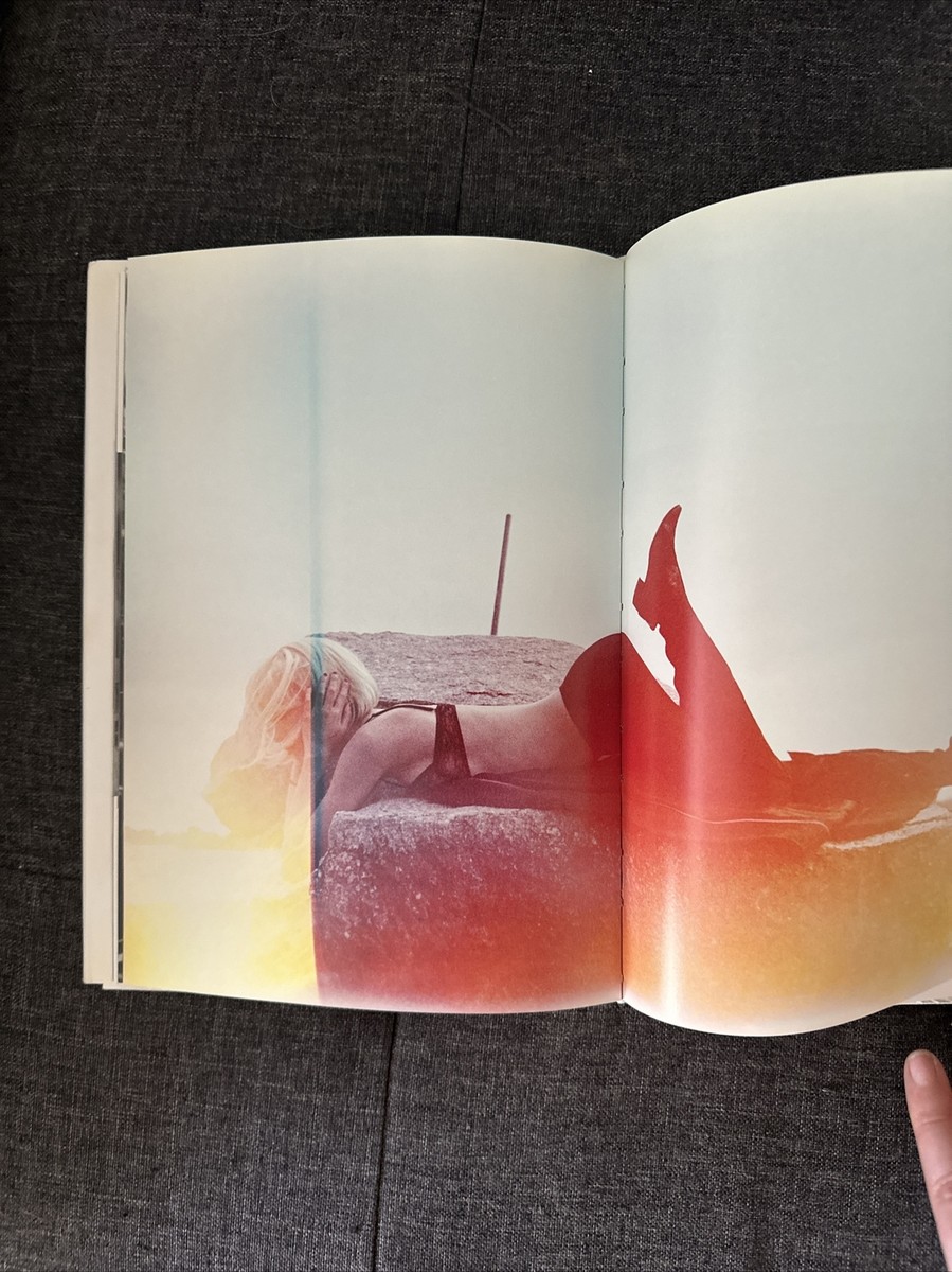 The Bird Who The Birds Didn't Die over the Winter Didn't Want