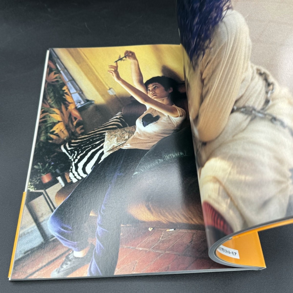 Christopher Doyle BACKLIT BY THE MOON Photo Book Album Paperback