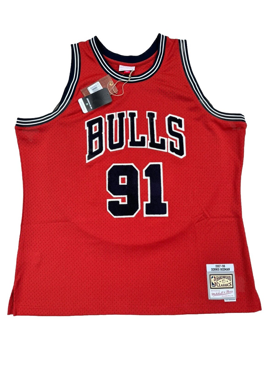 Dennis Rodman Chicago Bulls Mitchell & Ness Off-Court Swingman