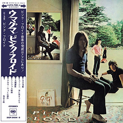 Pink Floyd Ummagumma [Fully Limited Edition] CD Album F/S from