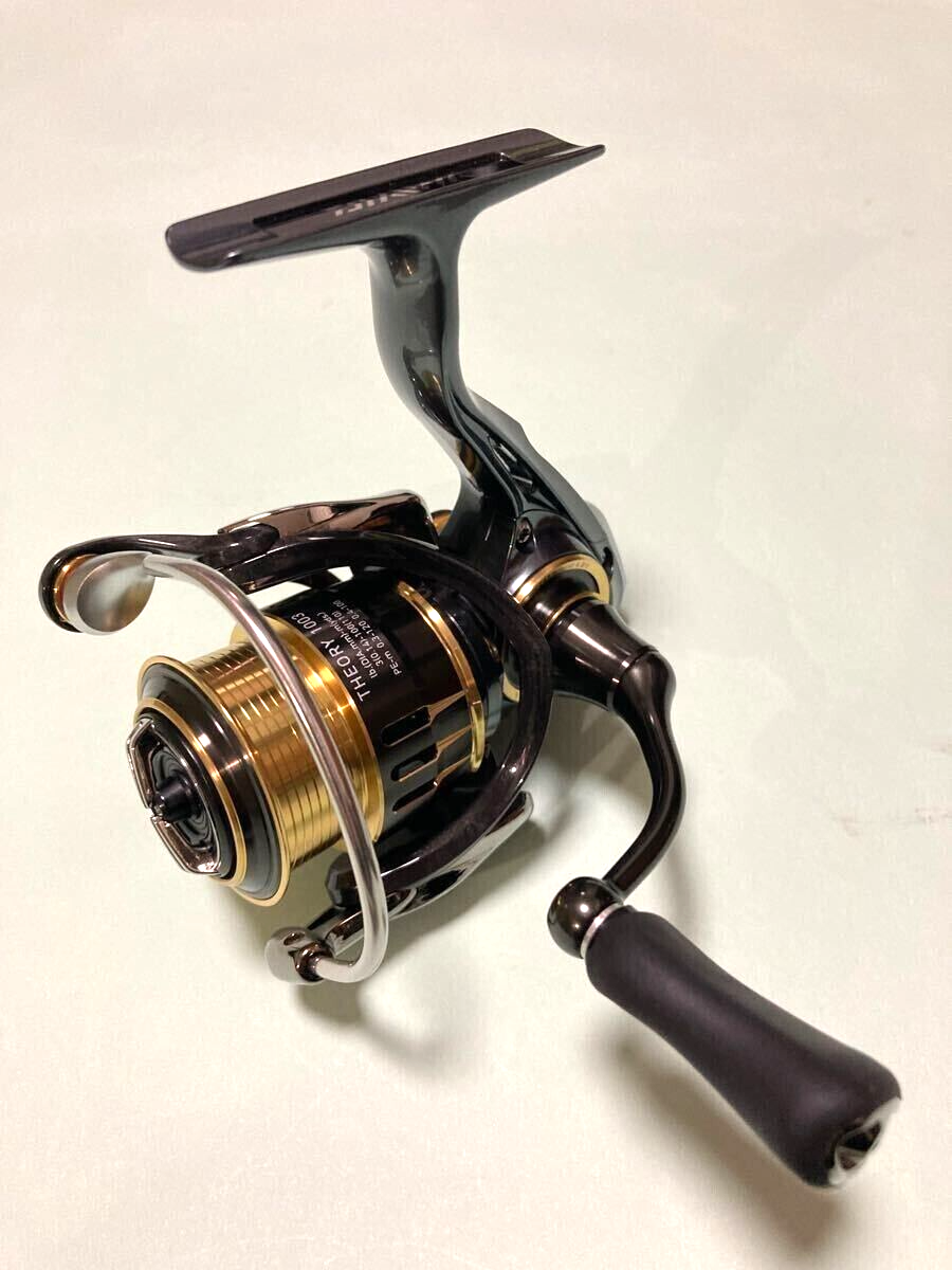 Daiwa 17 Theory 1003 Spinning Fishing Reel | eBay