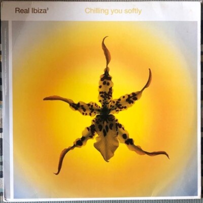 Various ‎– Real Ibiza³ - Chilling You Softly 3 × Vinyl, LP