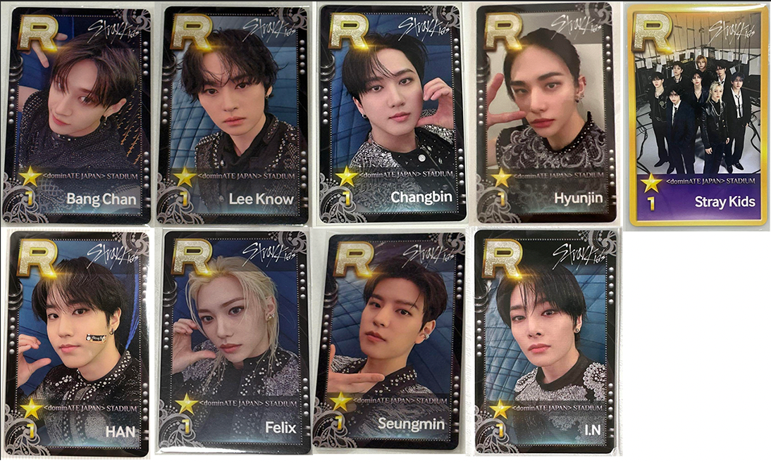 Stray Kids World Tour dominATE JAPAN Shizuoka ssjyp Official