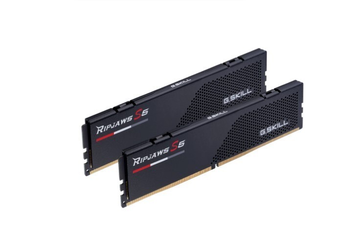 G.SKILL Ripjaws S5 64GB (2 x 32GB) PC5-48000 (DDR5-6000) Memory