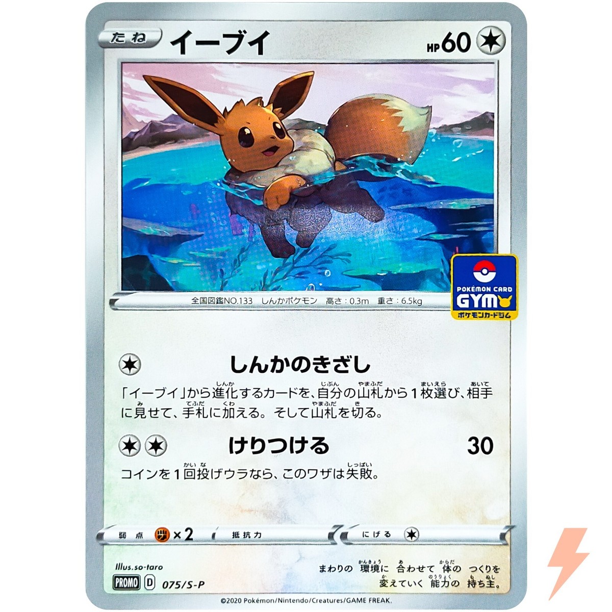 Eevee 075/S-P GYM PROMO - Pokemon Card Japanese | eBay