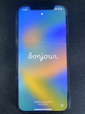 Apple iPhone 13 Pro Max - 128 GB - Sierra Blue (Spectrum) for sale