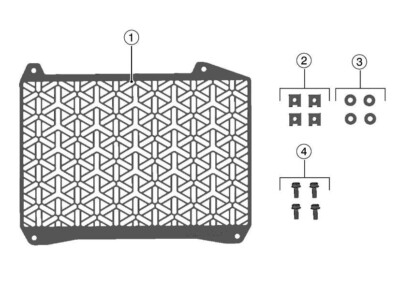 Genuine Kawasaki Ninja ZX-4RR KRT Radiator Screen Guard | 99994