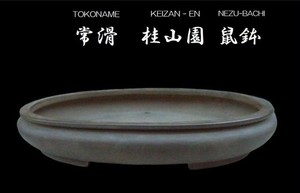 Groove Japan | eBay Stores