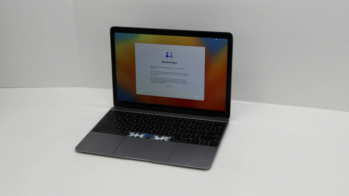 Apple MacBook 12-12.9 in Screen for sale - eBay