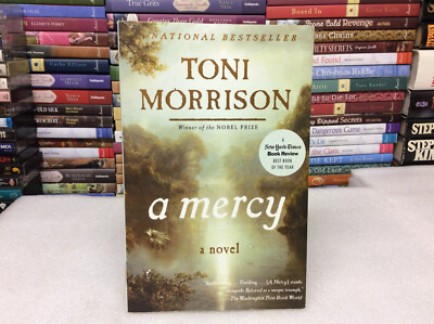 A Mercy A Novel by Toni Morrison (2008, Trade Paperback