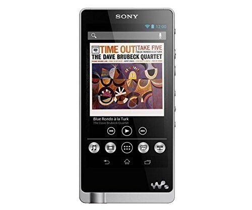 SONY NW-A607 1GB WALKMAN Digital Music Player JANK From Japan | eBay