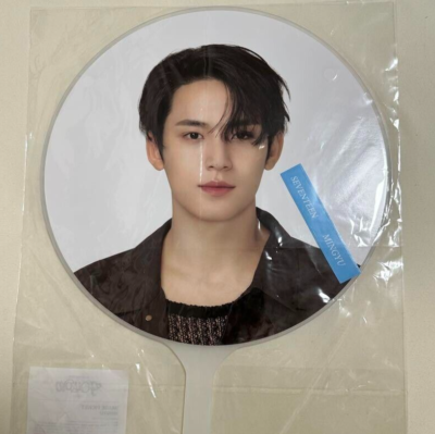 SEVENTEEN MINGYU TOUR FOLLOW TO JAPAN OFFICIAL IMAGE PICKET | eBay