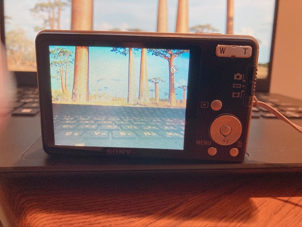 SONY Cyber-shot DSC-W350 Digital Camera 4.0x Optical Zoom Gold | eBay