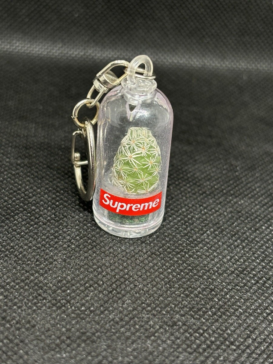 Supreme Cactus Keychain Box Logo SS18 | eBay