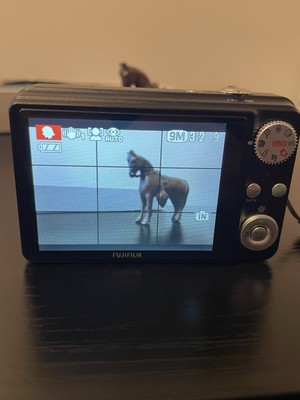 Fujifilm FinePix J Series J250 10.0MP Digital Camera - Black for