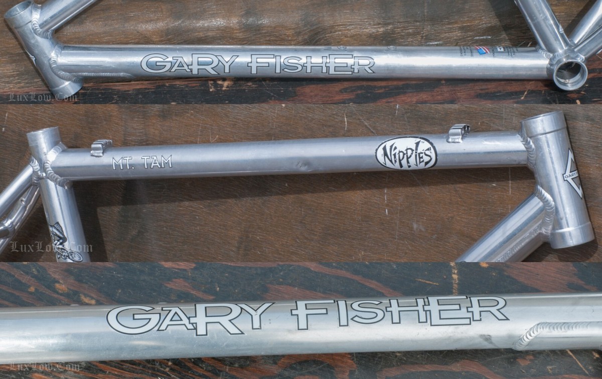Vintage Gary Fisher MT.Tam Bike FRAME OldSchool MTB Klunker