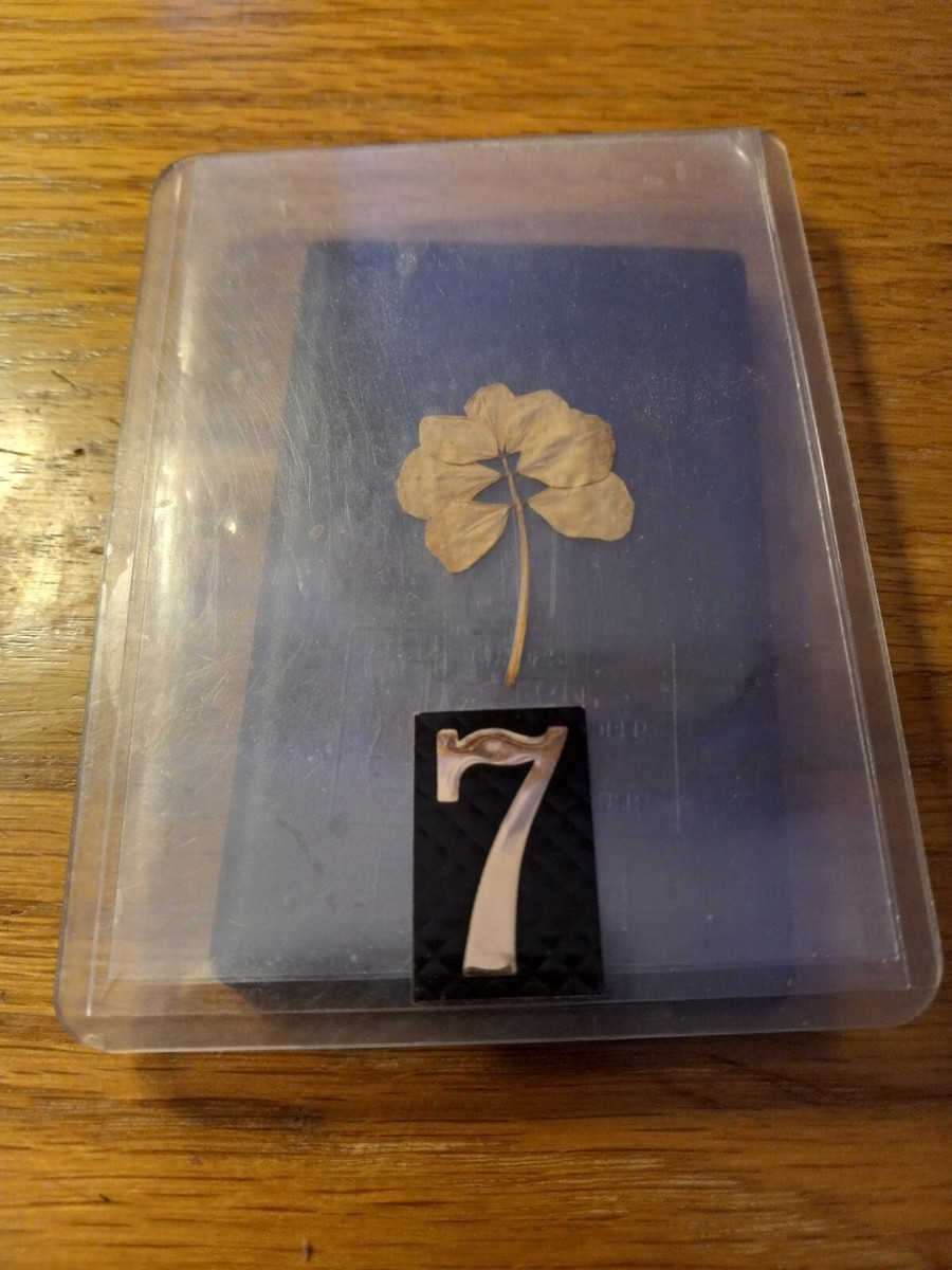 Extremely Rare 1 In A Billion- 7 LEAF CLOVER | eBay