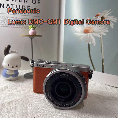 Panasonic LUMIX DMC-GM1 Digital Camera W/LUMIX G X Vario Power 14