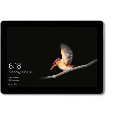 Microsoft Surface Go 128GB, Wi-Fi, 10in - Silver for sale online