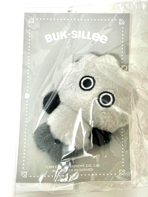 SHINee KEY 10CM DOLL BUK-SILLee 2024 KEYLAND ON : AND ON W/ BEANIE