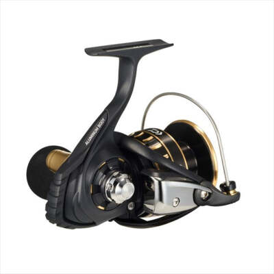 Daiwa 23 BG SW 6000D-H | eBay