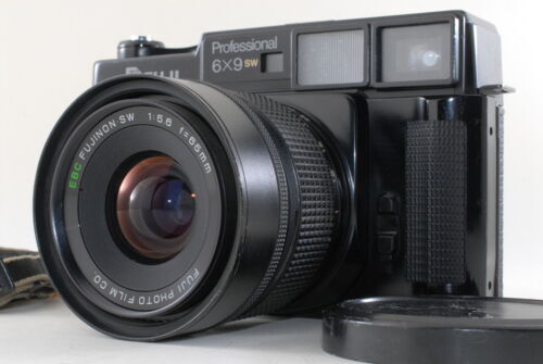 B Blub Rare [Exc+5] Fuji Fujifilm GW690 6x9 564 Count Medium
