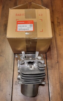 HONDA Cylinder Head GCV200LA HRX217K6 12100-Z9M-405 Genuine OEM | eBay