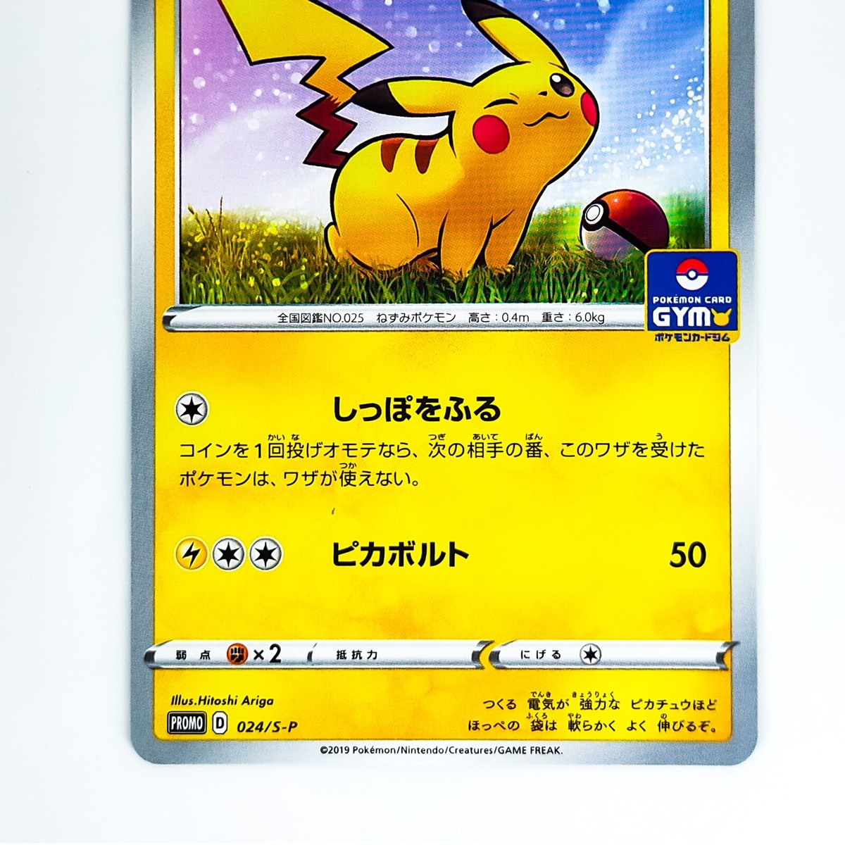 Pikachu 024/S-P GYM PROMO - Pokemon Card Japanese | eBay
