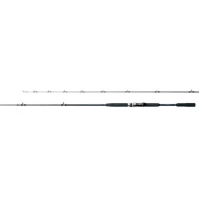Shimano 20 SEAMIGHTY X TYPE 64 30-300 Offshore Boat Rod | eBay