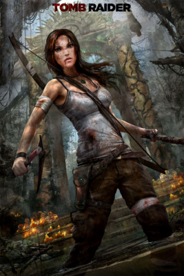 Tomb Raider Lara Croft Game Silk Print Painting Wall Home Decor